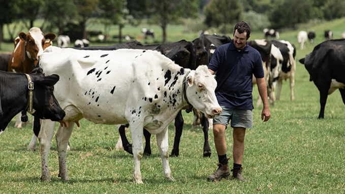 Dairy industry tour to celebrate major milestone&#160;